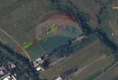 Teren 2925 mp comuna Mitocu Dragomirnei - 2