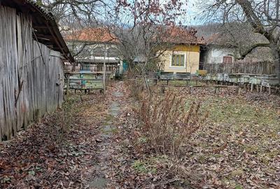 Casă cu 2 camere cu Teren 3000 Mp în Drăghici - 2