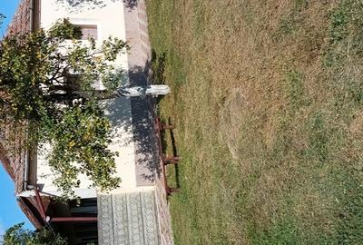 Casă cu 3 camere în Sânandrei - 2