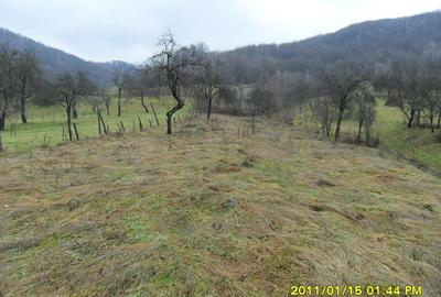 Vand teren in Ranusa - 13