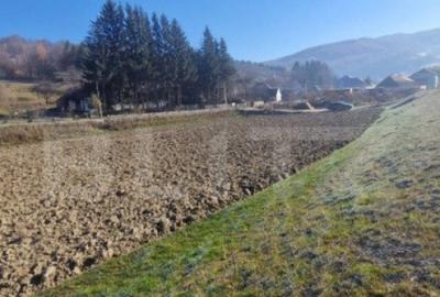 Teren extravilan - Sita Buzaului -6800 mp posibilitate trece - 18