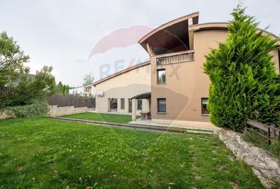 Vila spectaculoasa de vanzare in Faget - 3