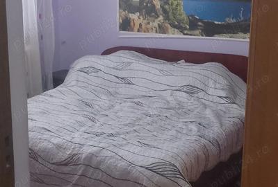 Apartament cu 3 camere decomandat în Central - 10