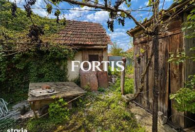 Casă cu 5 camere cu Teren 504 Mp în Central - 11