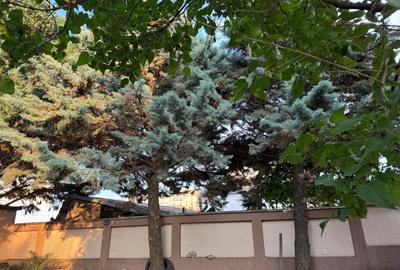 Vila de vanzare ultracentral Focsani, strada N . Titulescu, nr 2 bis - 6