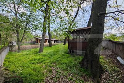 Padure in Barnova 1800 mp + 600 mp teren pentru casa - 3