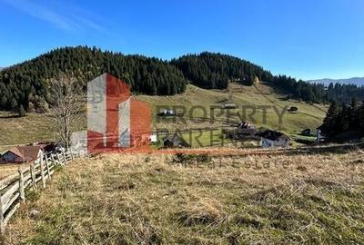 Teren Fundatica intravilan 4500 mp - 9