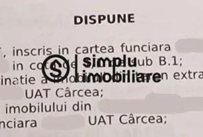 Teren Intravilan Carcea - 2