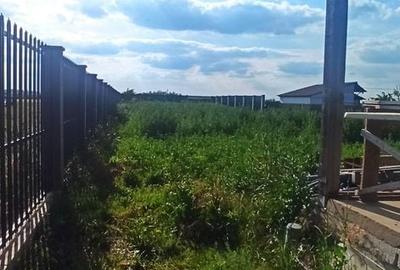 Casă cu 3 camere cu Teren 1100 Mp în Vladimirescu - 1