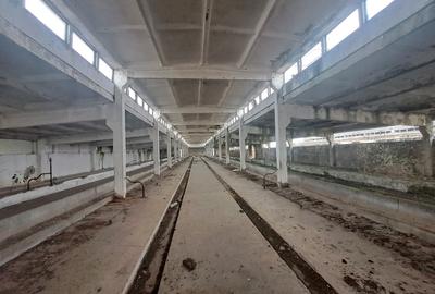 Spațiu industrial, 1800 mp în Central - 1