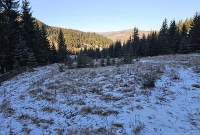 Teren extravilan de vanzare inconjurat de padure in Bucovina zona Breaza - 8