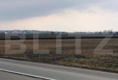 Teren de 30000 mp, în Central - 1