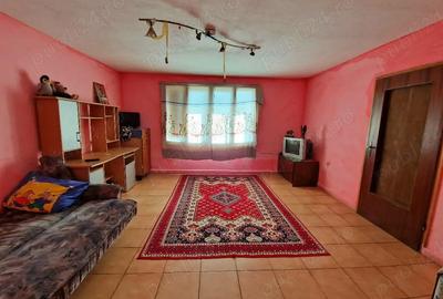 Casă cu 2 camere cu Teren 9100 Mp în Central - 2