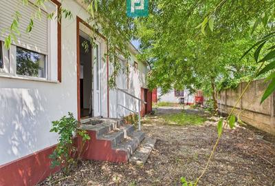 Casă cu 2 camere cu Teren 952 Mp în Miniș - 4