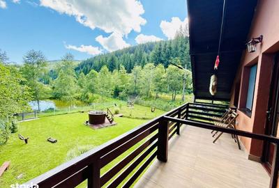 Casă cu 4 camere cu Teren 5500 Mp în Pojorâta - 12