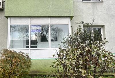 Spatiu Comercial Colentina - 2