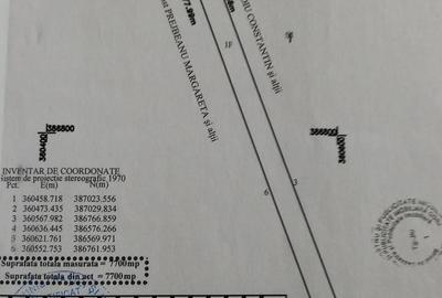 Teren de 7700 mp, în Drăguțești