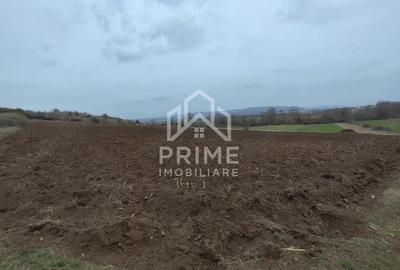 Teren de 9700 mp, în Pârău lui Mihai - 1