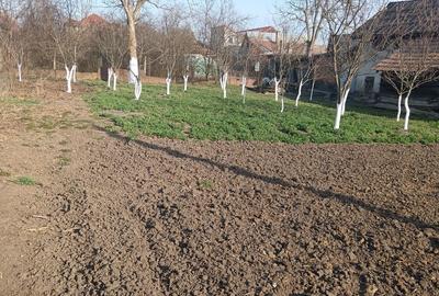 Casă cu 3 camere în Central - 5