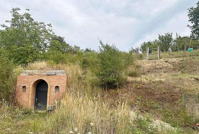 Teren intravilan de vanzare cu o crama zona Dealuri Oradea - 6