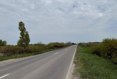 Teren de 600 mp, în Sânmihaiu Român - 2