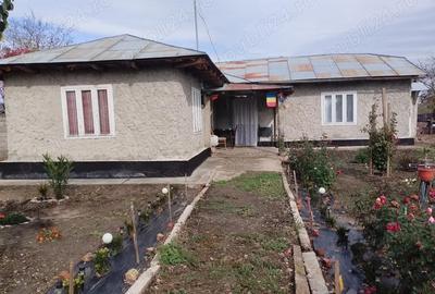 Casă cu 4 camere cu Teren 1600 Mp în Central - 2