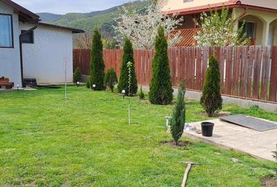 Casă cu 2 camere în Cornești - 3