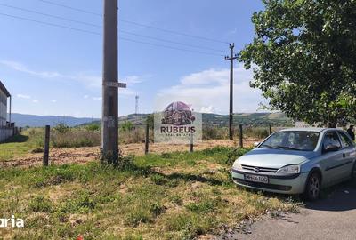 Teren de 12003 mp, în Schela - 12
