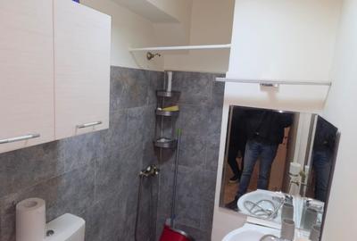 Apartament 2 camere Doamna Ghica - Parcul Tei - Strada Brasoveni 31 - Centrala - 10