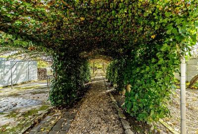 Casă individuală cu 5 camere cu Canalizare în Grădiște - 5