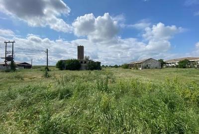 Teren agricol intravilan de 16862 mp, în Hârșova - 1