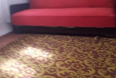 Casă cu 6 camere cu Teren 555 Mp în Mioriței - 5