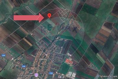 Teren agricol extravilan de 10875 mp, în Hălchiu - 6