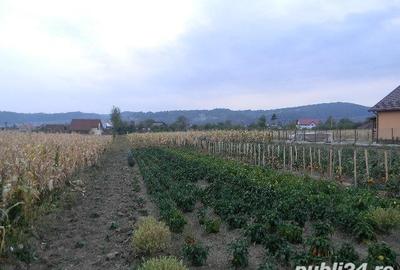Teren în Valea Iașului - 5