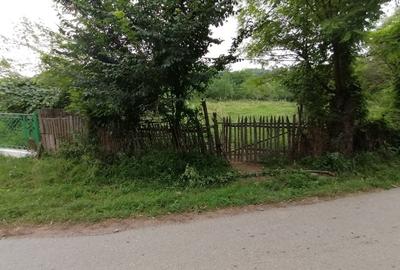 Curte 3025mp , Bughea de Jos, 5 min Valeni PH - 19