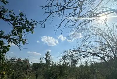 Casă cu 5 camere | Pivniță și Livada | Aproape de București | - 13