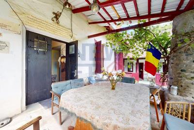 CONACUL GEORGE STEPHANESCU - 6