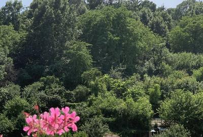 Apartament cu 3 camere decomandat, mobilat în Gruia - 9
