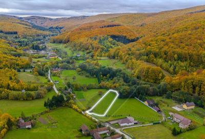 COMISION 0% Teren 3,109mp Dobarlau/ Par?ial intravilan - 10