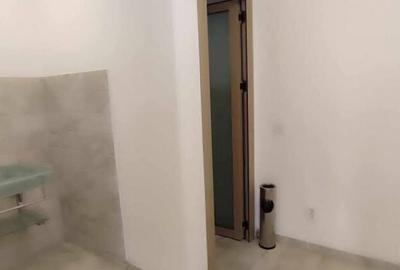 Inchiriere spatiu comercial, 120 mp, zona Calea Severinului - 4