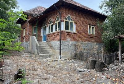 Casa 3 camere +teren 4260 mp livada, zona SUICI -Arges - 2