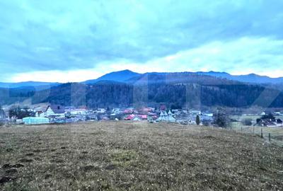 VAND 2500 MP DE TEREN INTRAVILAN LA COLIBITA - 8