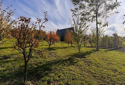 Casă individuală cu 3 camere cu Teren 4000 Mp în Bârnova - 4