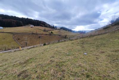 Teren rezidential Bran Fundata zona de case si pensiuni - 2