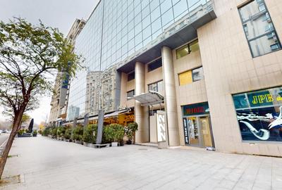 Calea Victoriei - Piata Victoriei - Birouri de inchiriat - 1