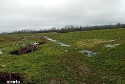 Teren de 833 mp, în Stolnici - 2