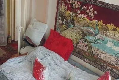 Apartament 3 camere Centrul Nou - 5
