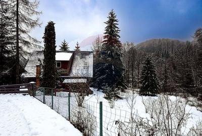 Teren Construcții intravilan de 1794 mp, în Moroeni - 2