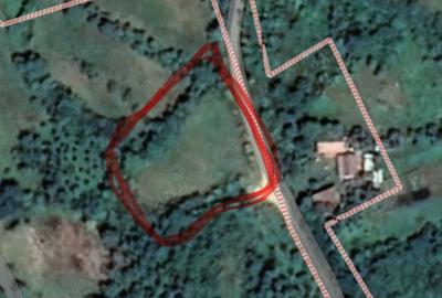 Teren de 1300 mp, în Lopadea Nouă - 1