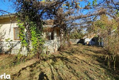 Casă cu 4 camere cu Teren 7720 Mp în Șirna - 16